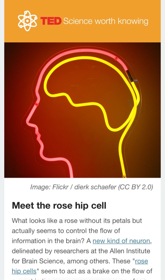 The Science Worth Knowing newsletter